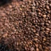 Café volta a cair em Nova York, com melhora do clima e expectativa de acordo entre EUA e Brasil