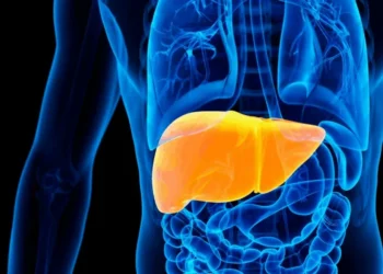 SEBASTIAN KAULITZKI/SCIENCE PHOTO LIBRARY/Getty Images