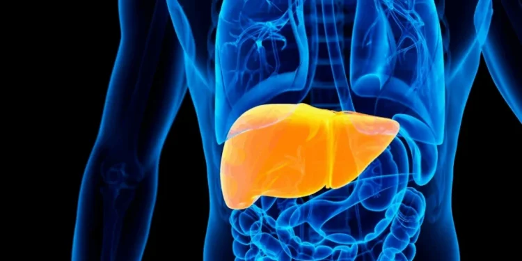 Especialista explica os riscos de fazer desintoxicação do fígado