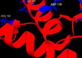 Doenças priônicas são raras, mas devastadoras