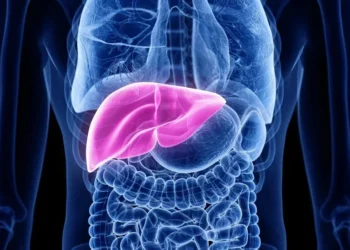 Gordura no fígado: confira alimentos benéficos para a saúde do órgão