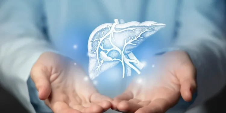 Câncer de fígado: veja sintomas da doença que não devem ser ignorados