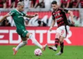Brasileirão: confira as tabelas de Flamengo e Palmeiras até a final