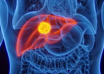 Câncer de fígado: conheça as principais causas e como se prevenir