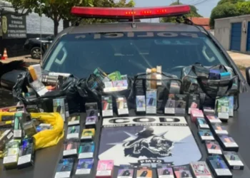 Apreensão de 245 unidades do produto ilegal gera prejuízo de mais de R$ 31 mil ao crime. - Foto: Ascom BPMRED