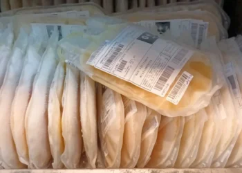 De janeiro a novembro de 2025, já foram enviadas 2.688 bolsas de plasma excedentes. Foto: Divulgação Saúde