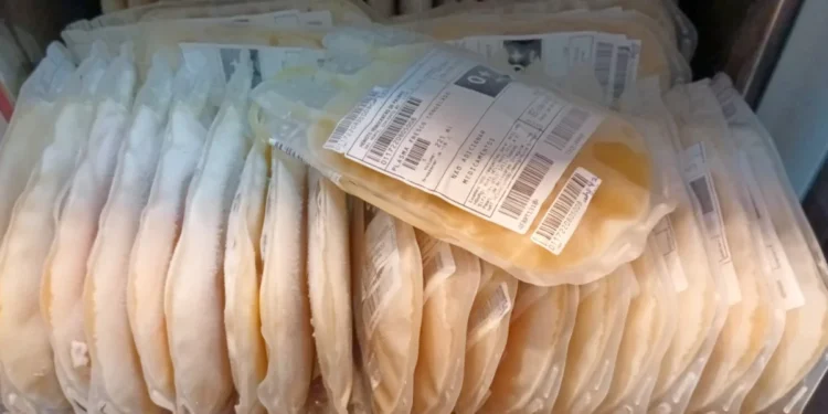 De janeiro a novembro de 2025, já foram enviadas 2.688 bolsas de plasma excedentes. Foto: Divulgação Saúde