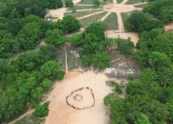 A integração de informações da Adapec e Secretaria Estadual da Saúde segue o conceito de Saúde Única. Foto: José Veloso/Governo do Tocantins