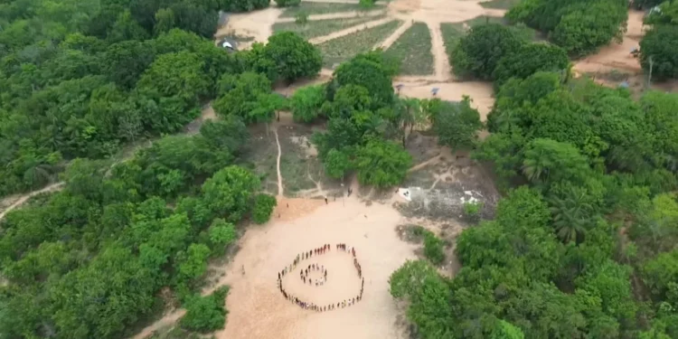 A integração de informações da Adapec e Secretaria Estadual da Saúde segue o conceito de Saúde Única. 
Foto: José Veloso/Governo do Tocantins