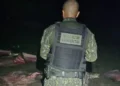 PMTO inicia Operação Piracema com apreensão de 350 kg de pescado e arma de fogo em Lagoa da Confusão