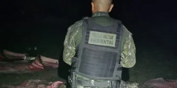 PMTO inicia Operação Piracema com apreensão de 350 kg de pescado e arma de fogo em Lagoa da Confusão