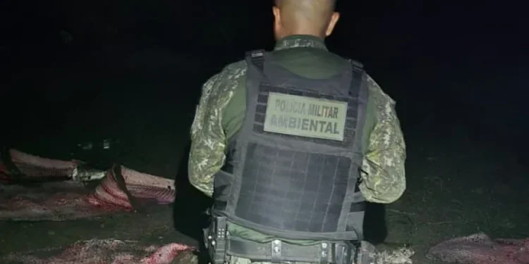 PMTO inicia Operação Piracema com apreensão de 350 kg de pescado e arma de fogo em Lagoa da Confusão