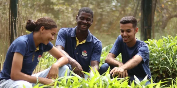 Prazo para inscrições de seleção de agentes territoriais do Pronacampo no Tocantins foi prorrogado