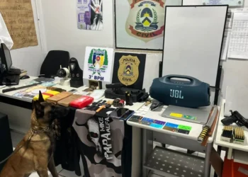Drogas, armas, munições e outros ilícitos apresentados na delegacia da Polícia Civil de Pedro Afonso - Foto: Divulgação 3º BPM