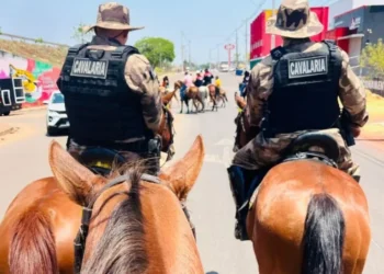 Atuando em Taquaralto nesta terça-feira,11. - Foto: Ascom PMTO