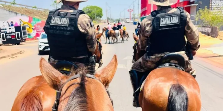 Atuando em Taquaralto nesta terça-feira,11. - Foto: Ascom PMTO