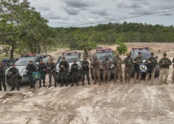 Equipes especializadas da PMTO durante Operação Protetor dos Biomas, em Natividade - Foto: Ascom PMTO