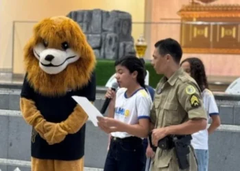 Houve também o reconhecimento das redações destaque - Foto: Ascom PMTO