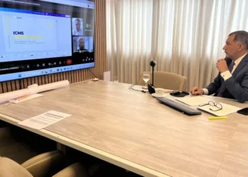 Reunião aconteceu por meio de videoconferência e contou com a presença de titulares e suplentes, representando as instituições que participam do conselho - Foto: Seduc/Governo do Tocantins