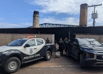 Polícia Civil do Tocantins incinera aproximadamente 300 kg de entorpecente em Gurupi. - Foto: Divulgação PCTO