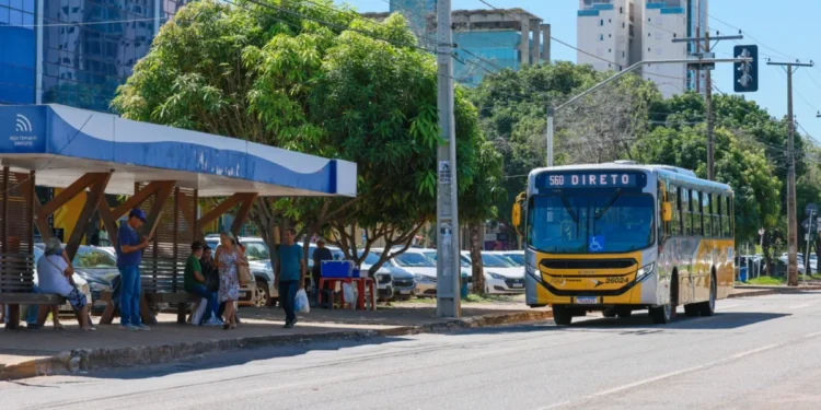 Pessoas Idosas a partir de 65 anos podem solicitar o cartão na sede da ATCP – Foto: Júnior Suzuki