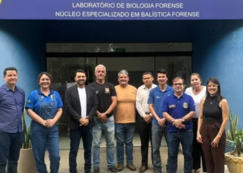 Capacitação segue até a próxima sexta-feira, 7 de novembro - Foto: Divulgação