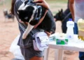 Devem ser imunizados animais em bom estado de saúde a partir de 3 meses de vida – Foto Regiane Rocha