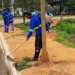 Entre os serviços, a capina dos meios-fios é realizada para deixar as calçadas mais trafegáveis – Foto Chico Sisto