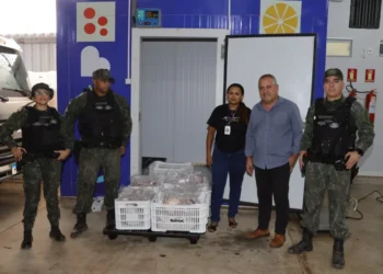 Crédito das fotos: Adilvan Nogueira/Governo do Tocantin