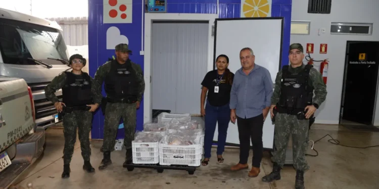 Governo do Tocantins doa peixes apreendidos em operação ambiental ao programa Sesc Mesa Brasil