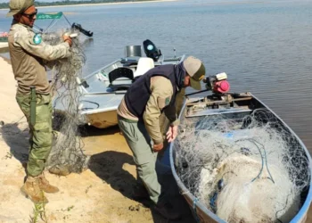 Equipes de fiscalização realizaram ações para combater a pesca ilegal durante a piracema - Foto: Naturatins/Governo do Tocantins