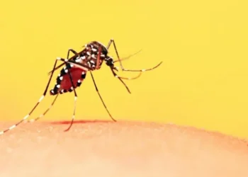 O objetivo é conscientizar a população tocantinense sobre as ações de prevenção e eliminação dos focos do Aedes aegypti