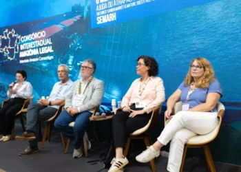 Temas como desmatamento, financiamento climático, restauração e governança foram debatidos pelo Tocantins nos 18 painéis dos quais o Estado participou - Divulgação Semarh/Governo do Tocantins