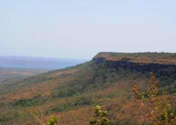 O Femep é um órgão consultivo de apoio às MPE's composto por mais de 20 entidades públicas e privadas - Adenauer Cunha/Governo do Tocantins