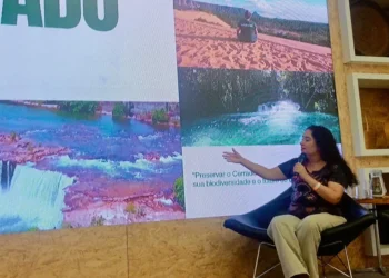Naturatins participa de Seminário sobre Sustentabilidade e Inovação no Artesanato, no Rio de Janeiro - Foto: Naturatins/Governo do Tocantins