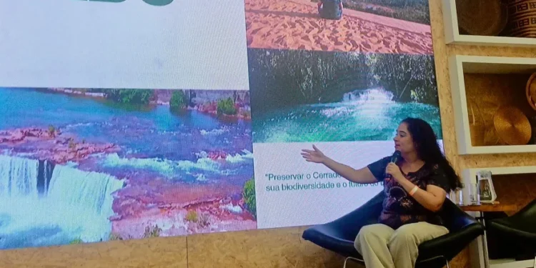 Naturatins participa de Seminário sobre Sustentabilidade e Inovação no Artesanato, no Rio de Janeiro - Foto: Naturatins/Governo do Tocantins