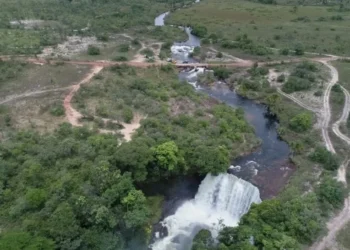 Governo do Tocantins, por meio do Naturatins, publicou Portaria que define novas bases vetoriais geoespaciais oficiais para o CAR no Estado - Foto: Fernando Alves/Governo do Tocantins