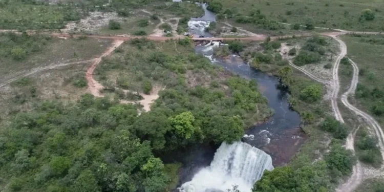 Governo do Tocantins, por meio do Naturatins, publicou Portaria que define novas bases vetoriais geoespaciais oficiais para o CAR no Estado - Foto: Fernando Alves/Governo do Tocantins