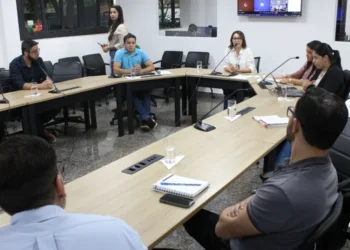 Diretora Ellen Amaral apresentou aos conselheiros como os municípios realizam a fiscalização e o licenciamento ambiental. Washington Luiz/Governo do Tocantins.