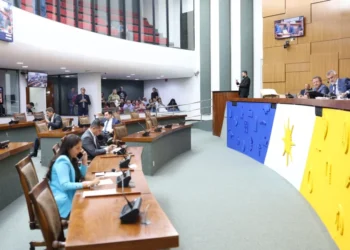 Sessão Plenária - foto Aline Batista