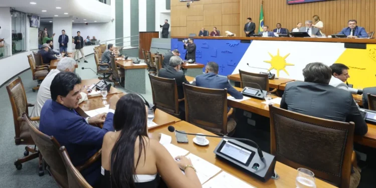 Sessão Plenária - foto Koró Rocha