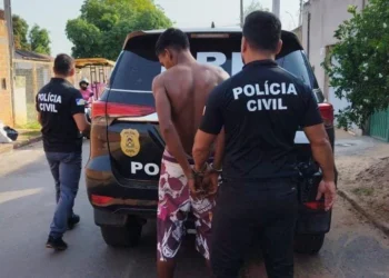 Atuação da Polícia garantiu a elucidação do crime e o indiciamento de ambos os envolvidos.