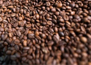 Os preços do café devem continuar sustentados — Foto: Wenderson Araujo/CNA