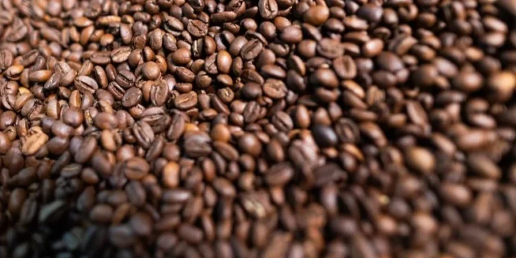 Os preços do café devem continuar sustentados — Foto: Wenderson Araujo/CNA