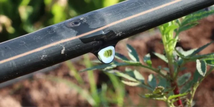 A expectativa é que o programa contribua para ampliar a produtividade da agricultura familiar — Foto: Divulgação