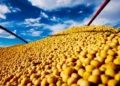 USDA confirmou a venda de 792 mil toneladas de soja americana da safra 2025/26 para a China — Foto: R.R. Rufino/Embrapa