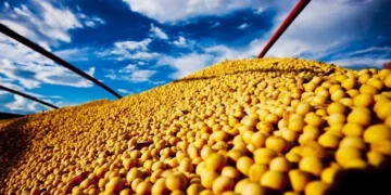 USDA confirmou a venda de 792 mil toneladas de soja americana da safra 2025/26 para a China — Foto: R.R. Rufino/Embrapa