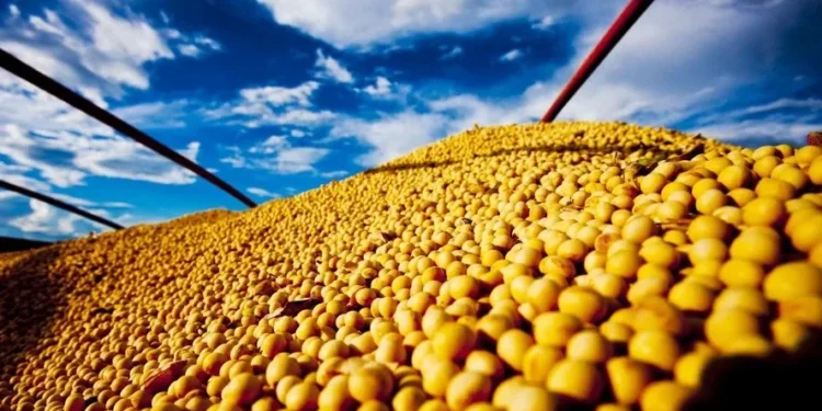 USDA confirmou a venda de 792 mil toneladas de soja americana da safra 2025/26 para a China — Foto: R.R. Rufino/Embrapa