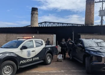 Polícia Civil do Tocantins incinera aproximadamente 300 kg de entorpecente em Gurupi.