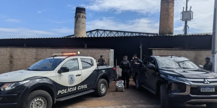 Polícia Civil do Tocantins incinera aproximadamente 300 kg de entorpecente em Gurupi.